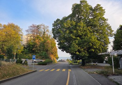 Fussgängerstreifen Blattenweg wird sicherer